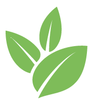 Buzz Bamboo Removal