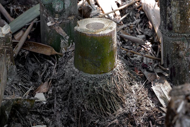 Root Barrier Installation