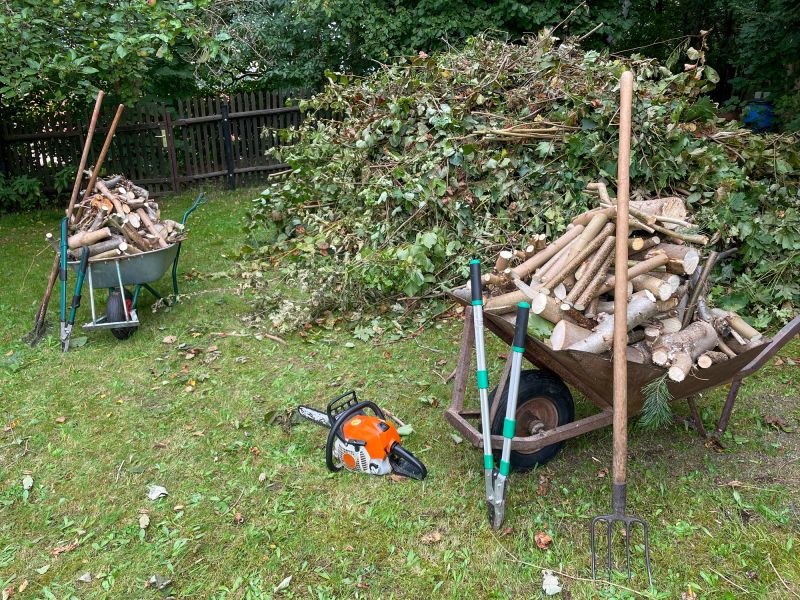 Bamboo Removal Costs — Cost of Bamboo Removal